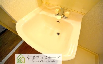シャンプードレッサー