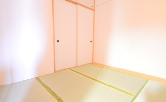 和4.5帖　客間や寝室におススメ！