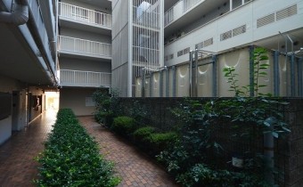 中庭