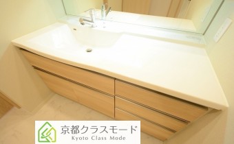 シャンプードレッサー
