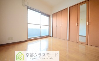洋5.5帖