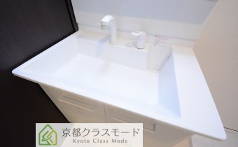 シャンプードレッサー