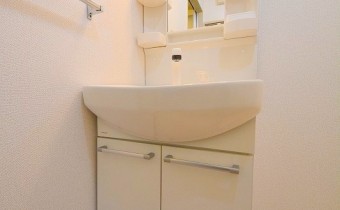 シャンプードレッサー