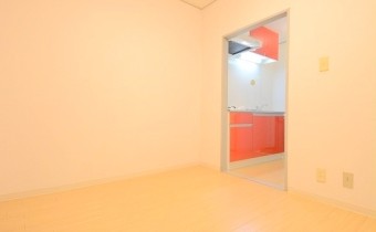 洋 5.5帖