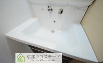 シャンプードレッサー