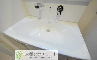 シャンプードレッサー