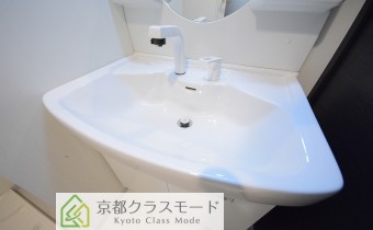 シャンプードレッサー
