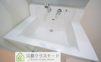 シャンプードレッサー