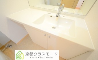 シャンプードレッサー