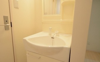 シャンプードレッサー完備　※室内写真は同マンション内の別タイプのお部屋になります。