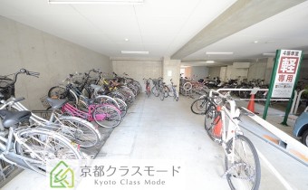 駐輪スペース
