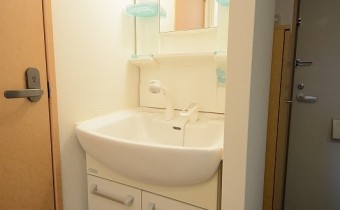 シャンプードレッサー