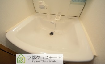 シャンプードレッサー