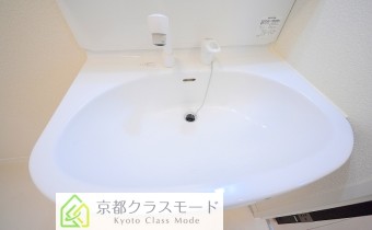 シャンプードレッサー