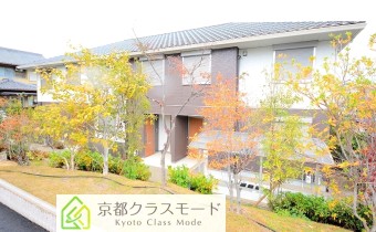敷地内は綺麗に整った庭園の様です♪