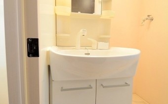 シャンプードレッサー