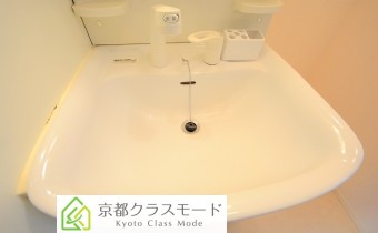 シャンプードレッサー