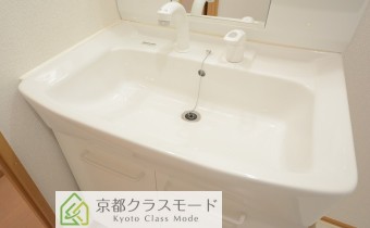 シャンプードレッサー