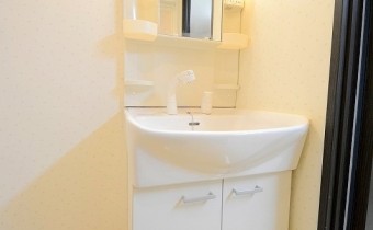 シャンプードレッサー