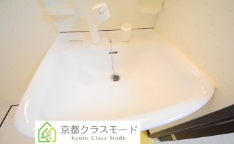 シャンプードレッサー