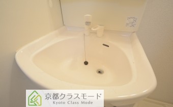 シャンプードレッサー