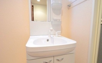 シャンプードレッサー