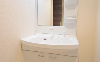 シャンプードレッサー
