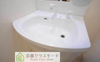 シャンプードレッサー