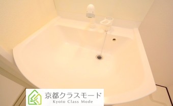 シャンプードレッサー