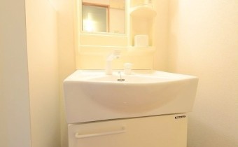 シャンプードレッサー