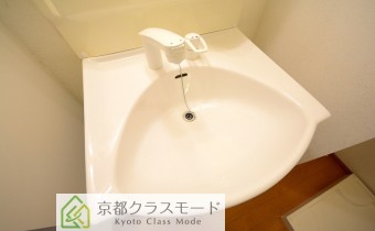 シャンプードレッサー