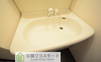 シャンプードレッサー