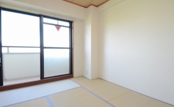和6