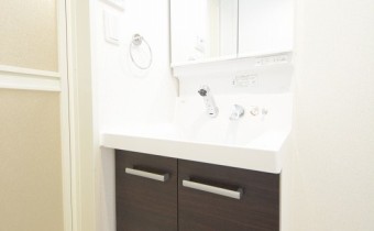 シャンプードレッサー