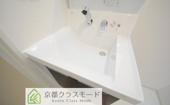 シャンプードレッサー