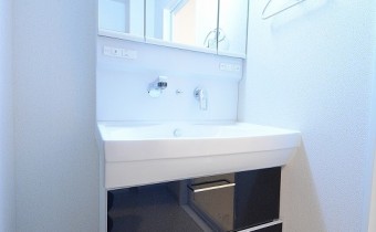 シャンプードレッサー