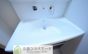 シャンプードレッサー