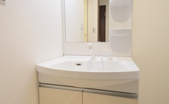 シャンプードレッサー