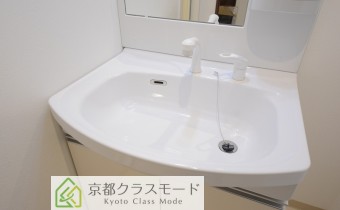 シャンプードレッサー