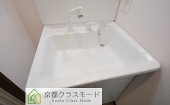 シャンプードレッサー
