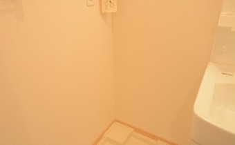 室内洗濯機置場