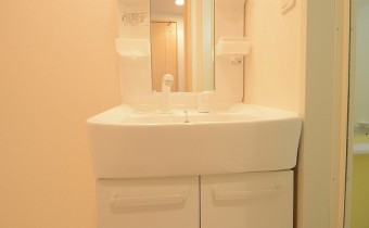 シャンプードレッサー