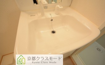 シャンプードレッサー