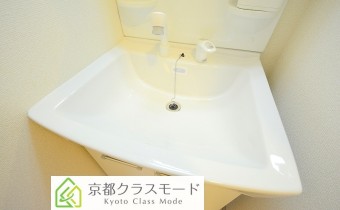 シャンプードレッサー