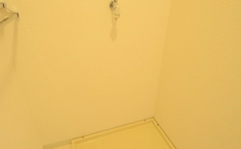 室内洗濯機置場