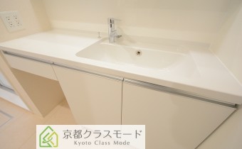 シャンプードレッサー