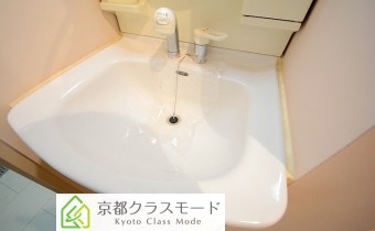 シャンプードレッサー