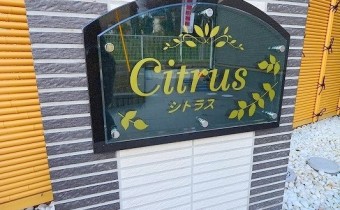 エンブレム