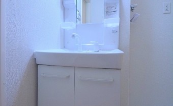 シャンプードレッサー
