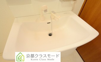 シャンプードレッサー
